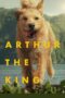 Nonton Film Arthur the King (2024) Bioskop21